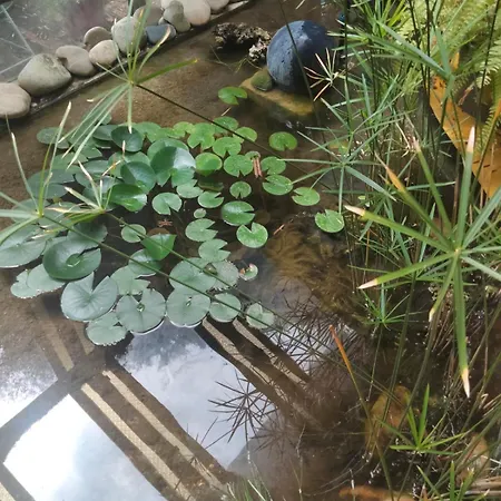 La Verriere 度假居 阿爾勒